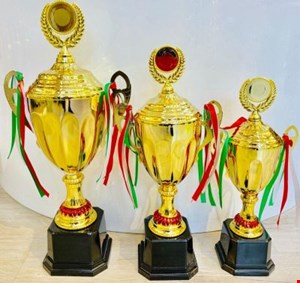 کاپ خارجی تاجدار تمام فلز کد 3171