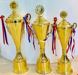 کاپ خارجی تاجدار تمام فلزی کد 3045