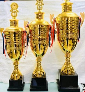 کاپ خارجی تاجدار فلزی آب طلا کد 3115
