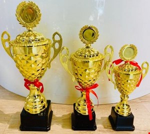 کاپ خارجی تاجدار پلاستیکی کد 1606