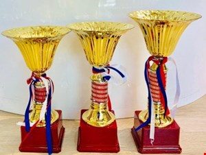 کاپ خارجی شیپوری فلزی کد 3065