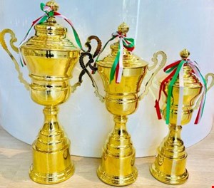 کاپ خارجی کاجدار تمام فلز کد 1530