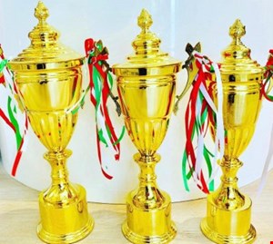 کاپ خارجی کاجدار تمام فلزی کد 6601