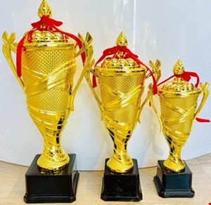کاپ خارجی کاجدار تمام پلاستیک کد 1802