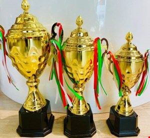 کاپ خارجی کاجدار فلزی  کد 1032