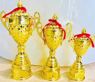 کاپ خارجی کاجدار پلاستیکی کد 1610