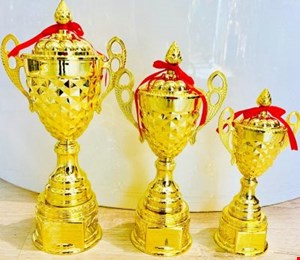 کاپ خارجی کاجدار پلاستیکی کد 1610