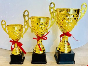 کاپ خارجی گلدانی تمام پلاستیک کد 1603