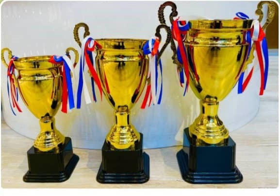 گلدانی خارجی فلزی کد 1066